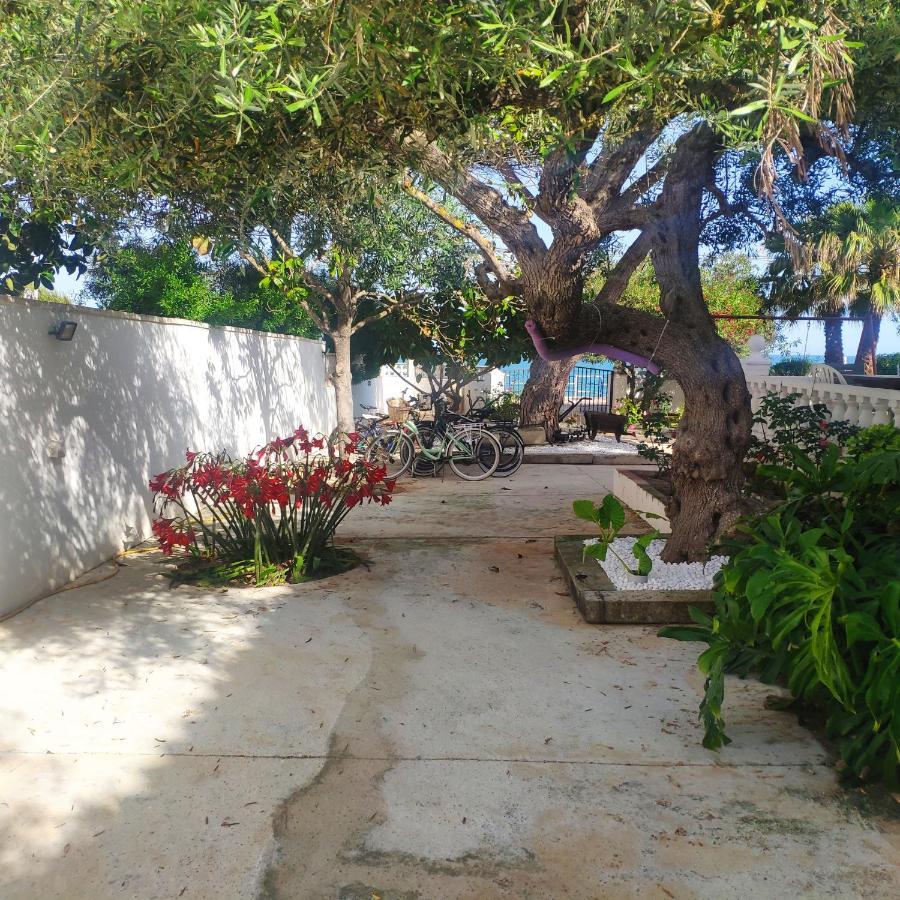 Cala Llanetes Vila Vinarós Exterior foto